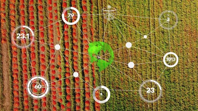 Smart digital agriculture technology by futuristic sensor data collection management by artificial intelligence to control quality of crop growth and harvest. Computer aided plantation grow concept
