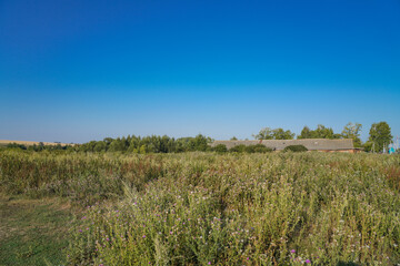 Fototapeta premium landscape in the countryside