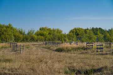 landscape with a fence