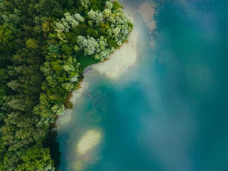 Gordijnen Aerial drone top down view of lake among forest with beautiful turquoise water in summer day.  © nikkimeel