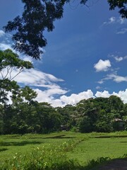 field and blue sky