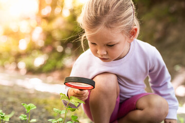 Preschooler girl is exploring nature with magnifying glass. Little child is looking on leaf of fern with magnifier. Summer vacation kids in forest.