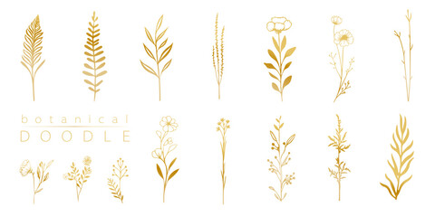 Botanical golden doodle set of branches. Hand drawn leaves and herbals, wedding invitation and cards, logo design and posters template. Elegant minimal style floral vector isolated set