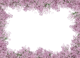 flowers border