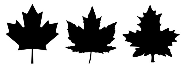 Maple leafs symbol vector - Ai Illustrator