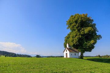 Way chapel in Kellerhof in Bavaria under a big oak tree with blue sky