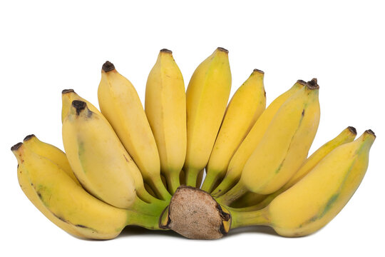 Beautiful natural yellow bananas on a stem, showcasing tropical freshness and healthy eating. Studio shot with clear details, ready for diet and nutrition themes.