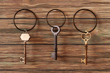 Different styles of vintage keys hanging on a wooden wall. Illustration of the concept of key to success, leadership, decision and profitable investment