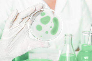 Lab setup: Aide with precision manages Petri dishes and their contained organisms. Lab coat attire....