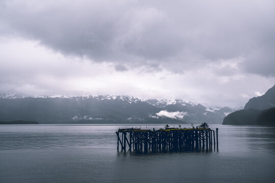 Cold Alaskan Ocean View