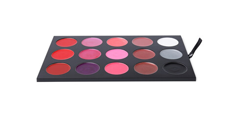 Cream lipstick palette isolated on white. Professional cosmetic product