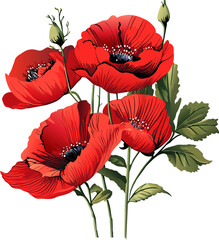 Red poppy beautiful nature flowers plant summer, Spring, poppies garden blossom isolated on white background Hand Drawn illustration Patriotic party card decoration Holiday