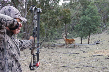 Red Deer Bow Hunt