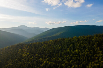 Aerial view of bright foggy morning over dark hills with mountain forest trees at autumn sunrise. Beautiful scenery of wild woodland at dawn
