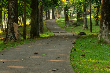View of a road, also a jogging track in the morning, after some edits.