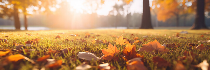 A photorealism of idyllic fall leaf meadow background in sunshine, close-up of an autumn nature scene in a garden in golden october