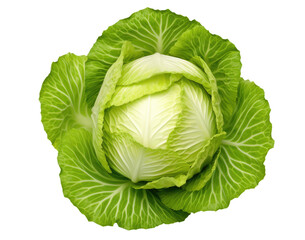 Fresh ripe whole cabbage isolated on transparent background, top view