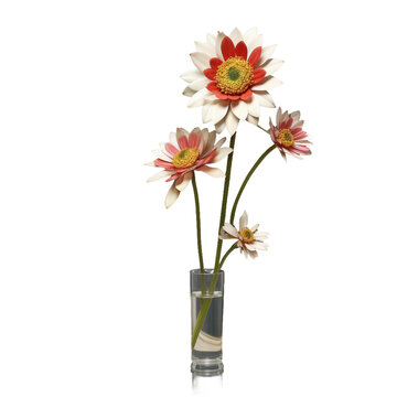 gerbera in vase Flower, plant, blossom, petal, stem, leaf, botanical, garden, nature, HD transparent background PNG Image 