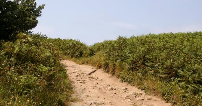 coastal path on the island of Saint Agnes at the Isles of Scilly.