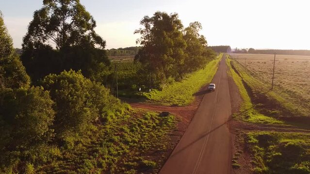 Aerial View of truck on Road Entering Yerba Mate Plantation in Misiones, Argentina
