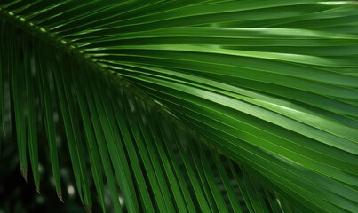 Palm leaf wallpaper. Tropical leaves background. For banner, postcard, book illustration. Created with generative AI tools