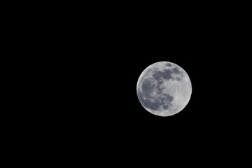 Blue Moon in the Night Sky