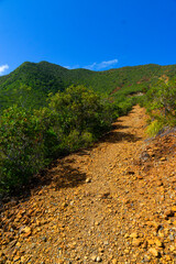 Fototapeta na wymiar Hiking track to Mount pic Nga