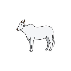 picture of a horned cow is white and simple