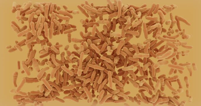 Bacillus  is a genus of Gram-positive, rod-shaped bacteria, a member of the phylum Bacillota. Bacterias flow animation.