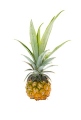 Fototapeta premium Fresh Pineapple with green leave isolated on white background shot in studio