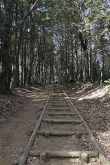 railway in the woods