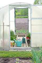 equipment for growing vegetables in a greenhouse. Tools for working in the greenhouse. Agriculture. agriculture