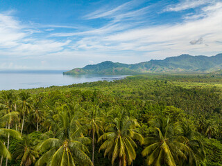 Fototapeta na wymiar Tropical island with rainforest and jungle. Mindanao, Philippines. Travel concept.