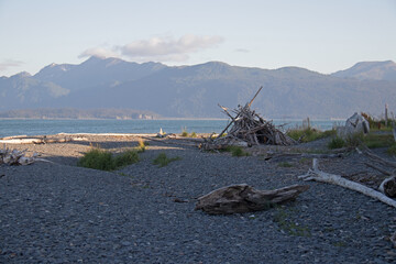 driftwood pile on a beach