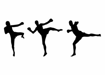 silhouette of martial arts movement steps
