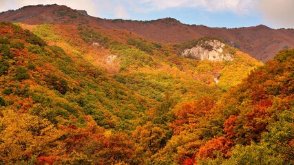 Beautiful autumn scenery of Gajisan Mountain, a provincial park in Korea