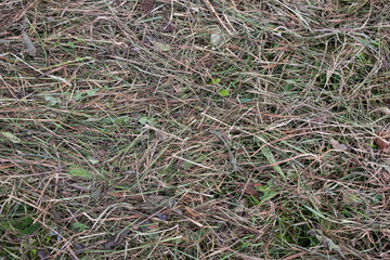 Aktueller Klimawandel in Europa 