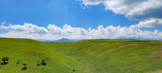 field and blue sky