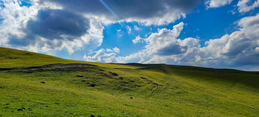 Obraz premium shadows on the meadow