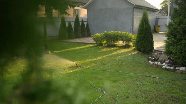 Automatic watering of the lawn. The garden system waters the green grass. 