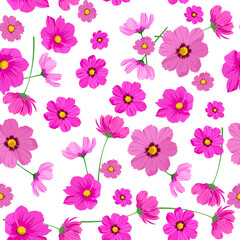 A seamless pattern of colorful cosmos flower. Colorful cosmos flower background. vector illustration. flower background.