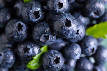 Micro close up of blueberries with copy space