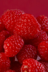 Micro close up of raspberries with copy space on red background