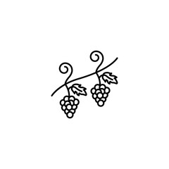 Grapes line icon vector design