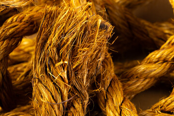Micro close up of yellow threads with copy space