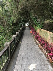 walkway in the park