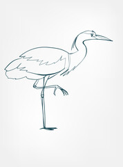 heron vector line art animal wild life single one line hand drawn illustration isolated