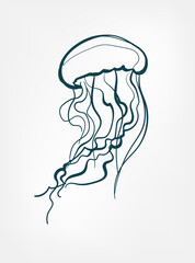 jellyfish vector line art animal wild life single one line hand drawn illustration isolated