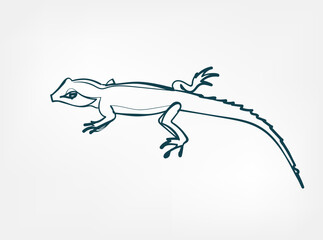 lizard vector line art animal wild life single one line hand drawn illustration isolated