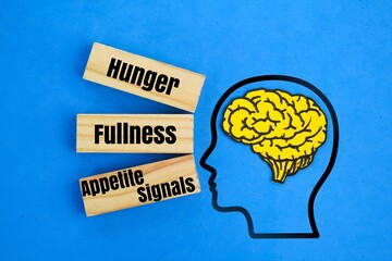 brain and stick shapes with the words Hunger, Fullness, and Appetite Signals. brain fullness